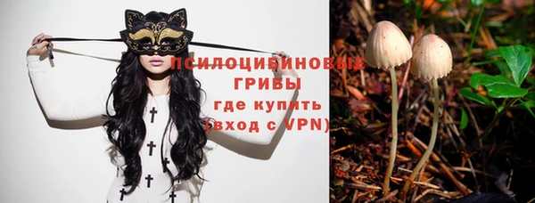 спиды Армянск