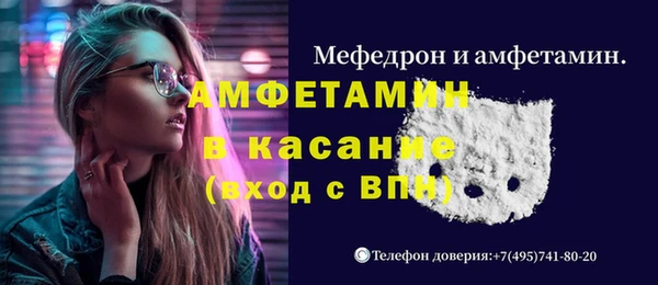 молекула духа Арсеньев