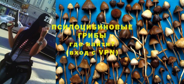 прущая мука Аркадак