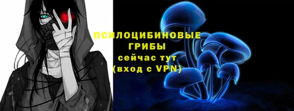 спиды Армянск