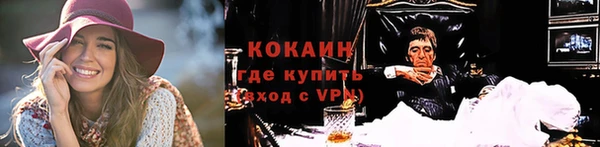молекула духа Арсеньев