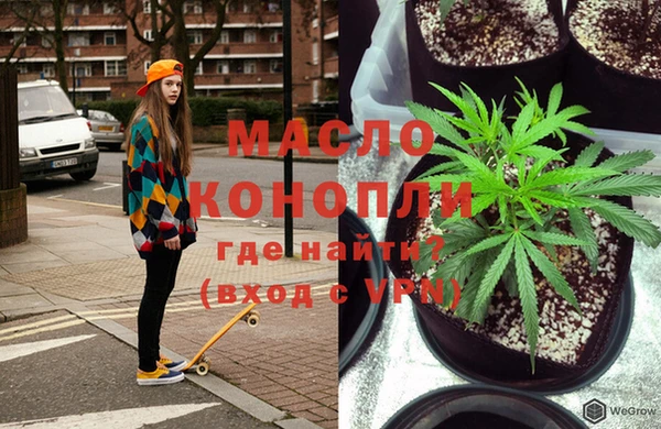 молекула духа Арсеньев