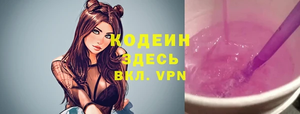 молекула духа Арсеньев