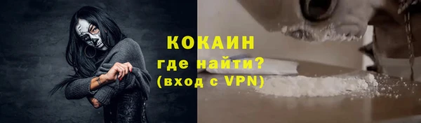 молекула духа Арсеньев