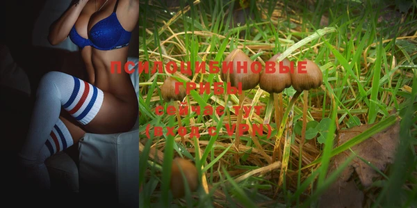 молекула духа Арсеньев