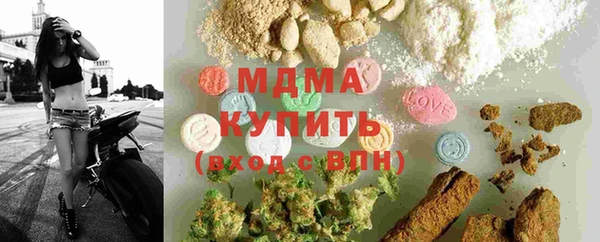 молекула духа Арсеньев